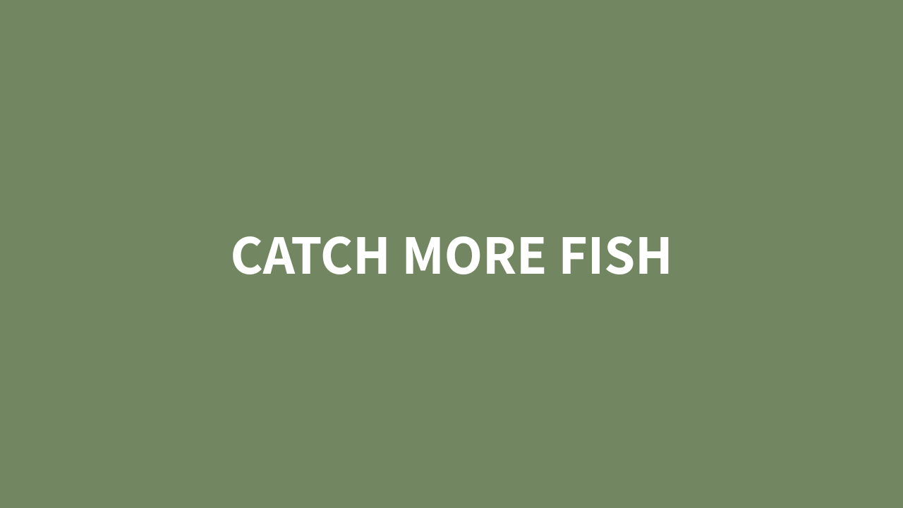 Guided Fly Fishing