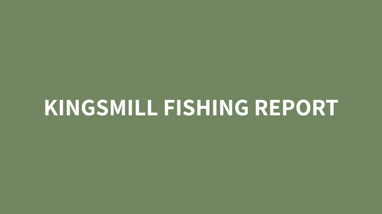 Kingsmill Fishing Report