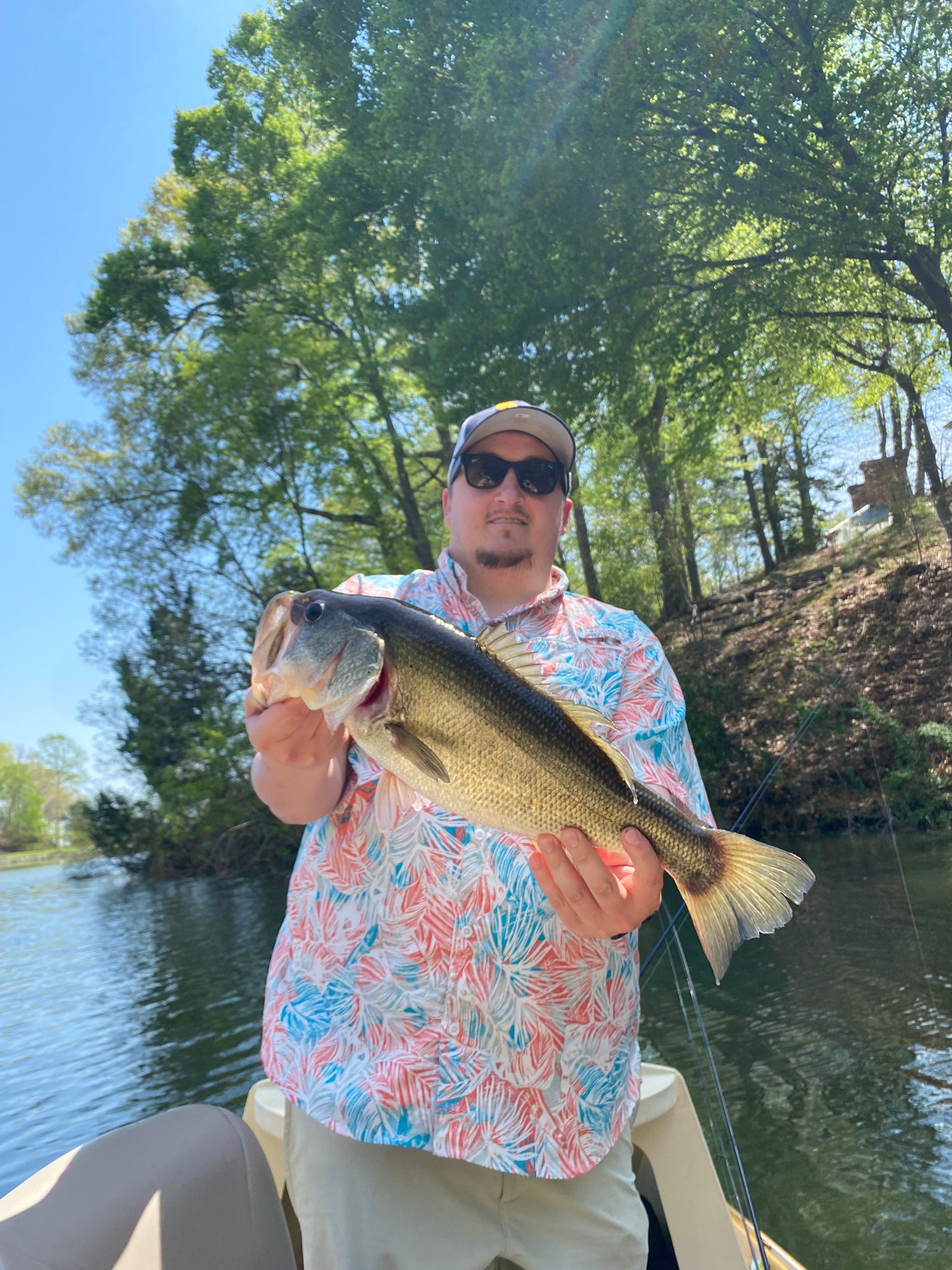Guided Fly Fishing
