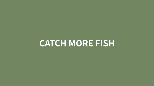 Guided Fly Fishing